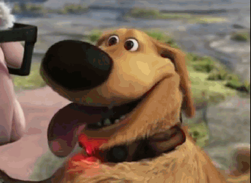 Dug the dog from up funny marketing gif.